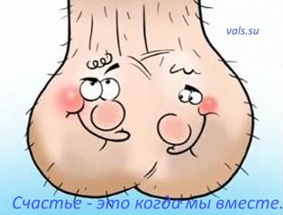 о яйцах без скорлупы